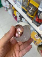 پرزگیر ژله‌ای قابل شستشو - تصویر 2